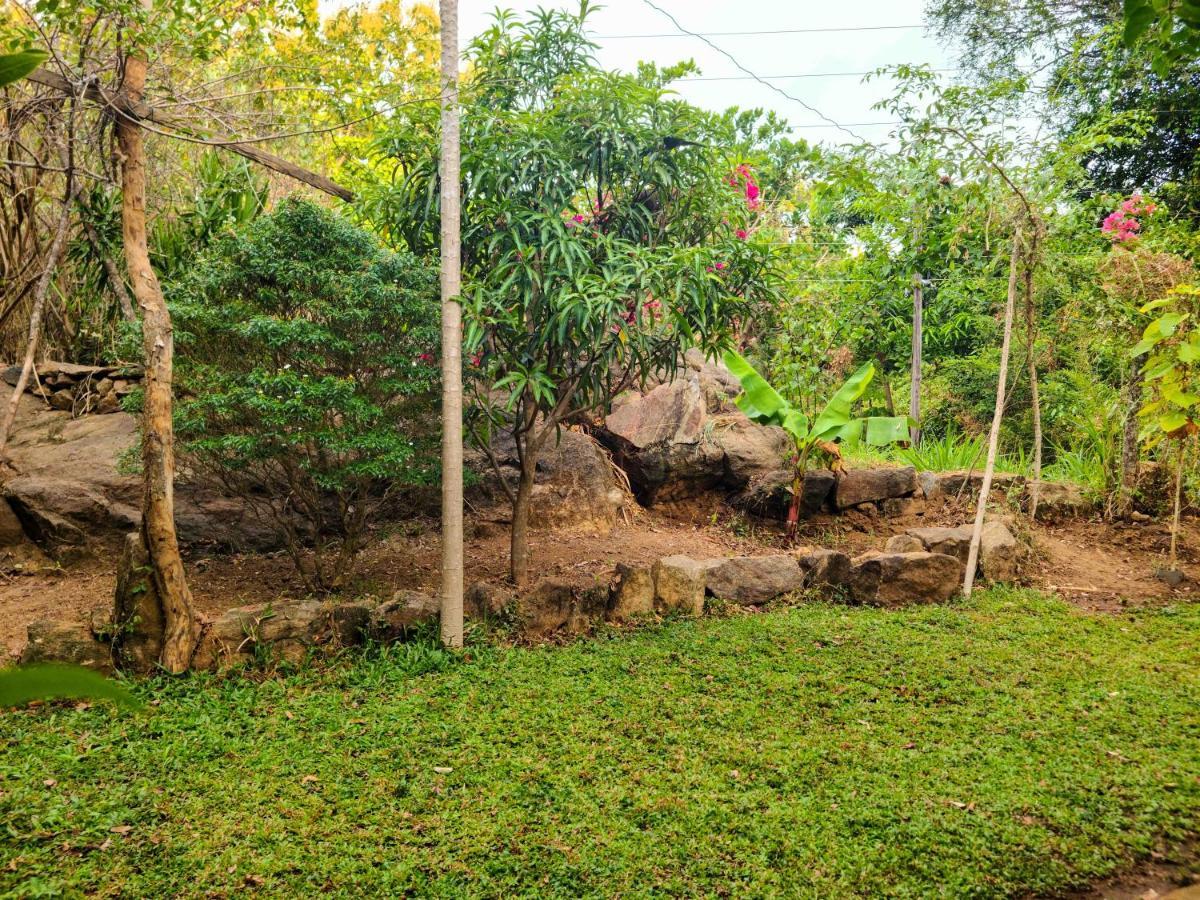 Woodholic Homestay Sigiriya Ngoại thất bức ảnh