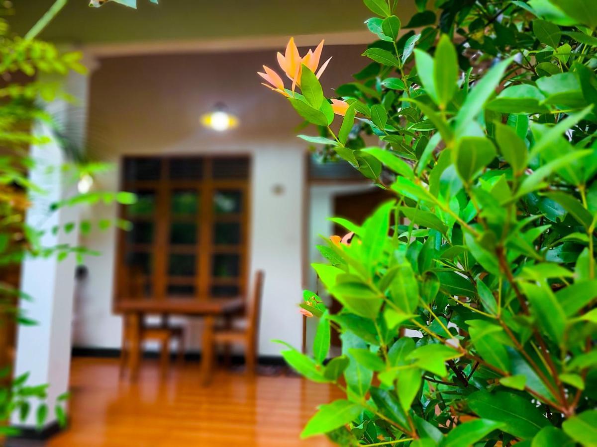 Woodholic Homestay Sigiriya Ngoại thất bức ảnh
