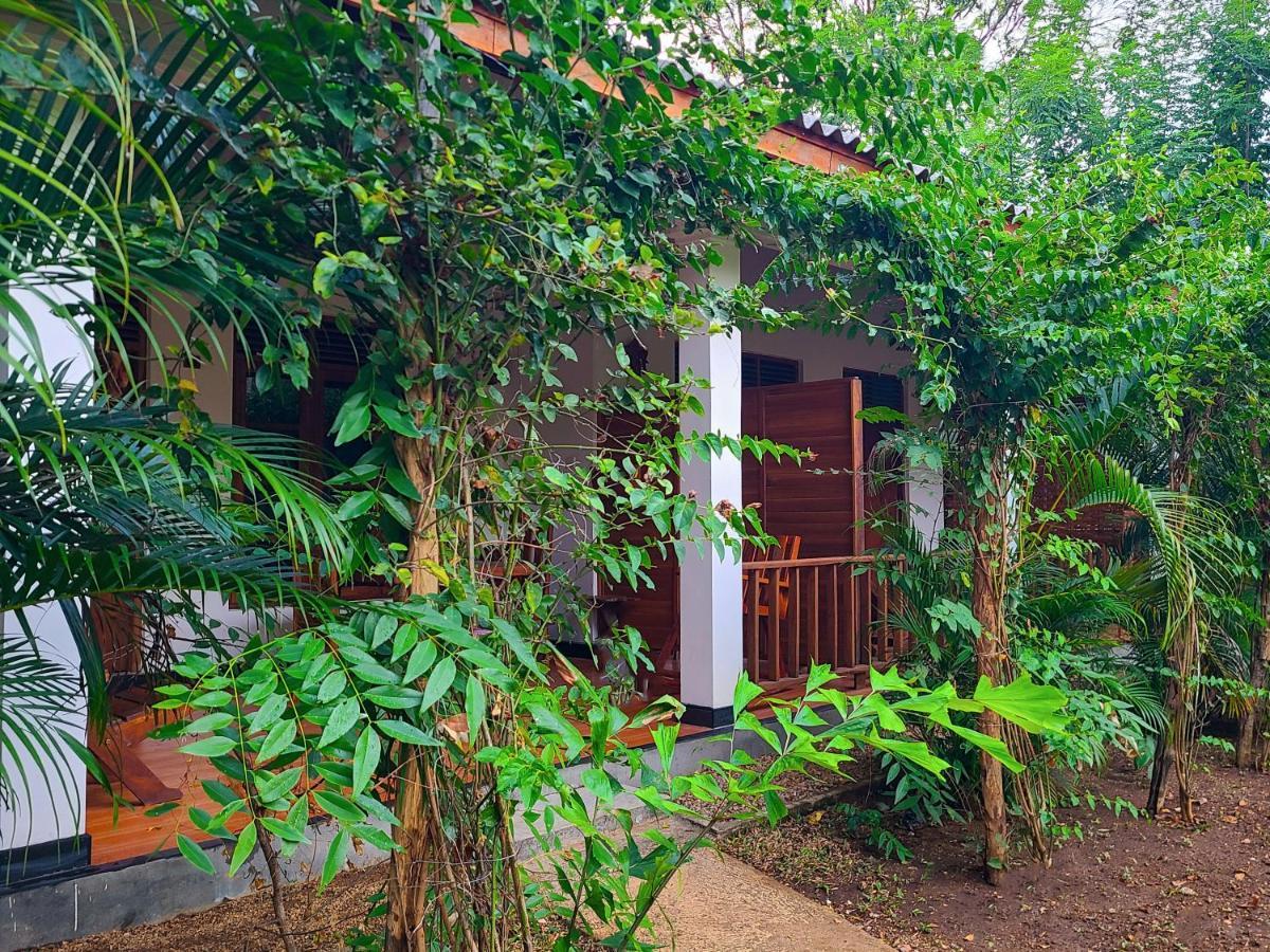 Woodholic Homestay Sigiriya Ngoại thất bức ảnh