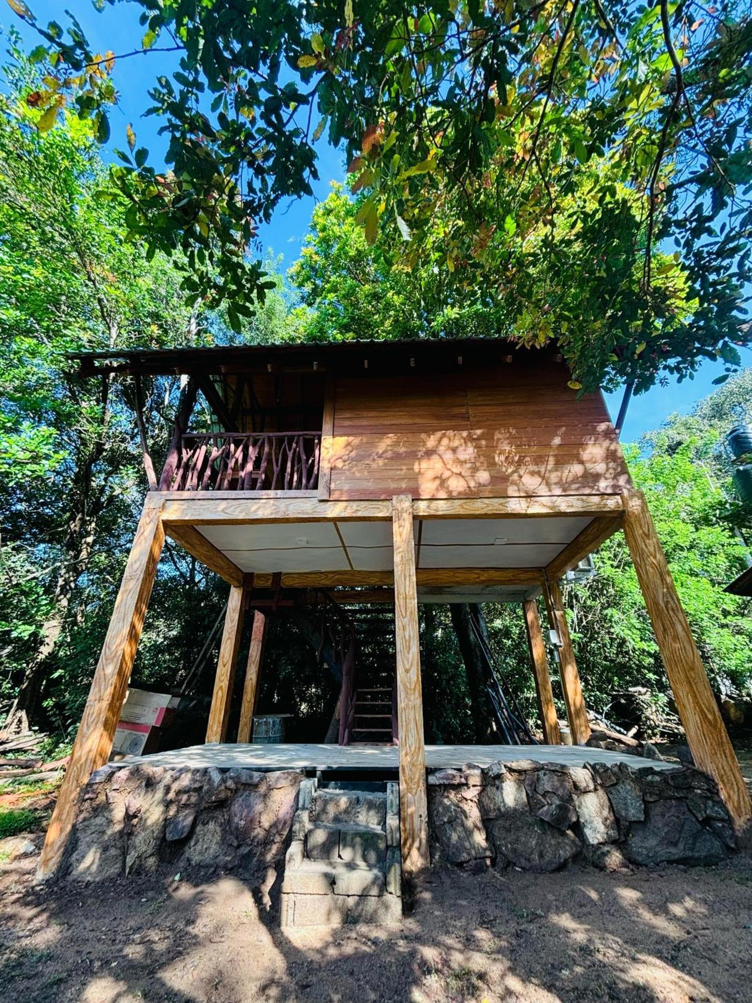 Woodholic Homestay Sigiriya Ngoại thất bức ảnh